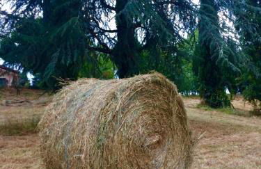 Petit Loft idéal, Tourisme et Affaires en Vallée du Lot - Foto 13