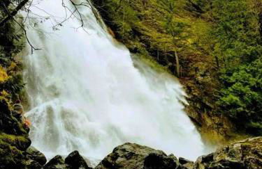 Brinnon Retreat - Foto 11