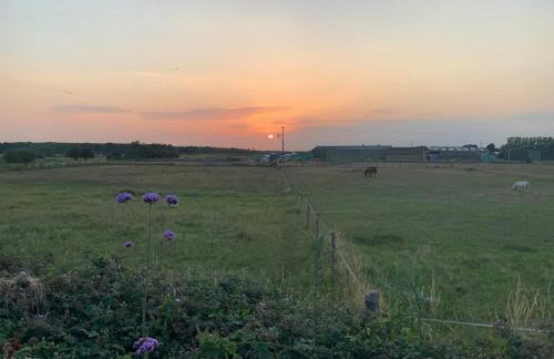 Cinque Ports Snug by Coaste - mins from Sea & Golf Course - Foto 43