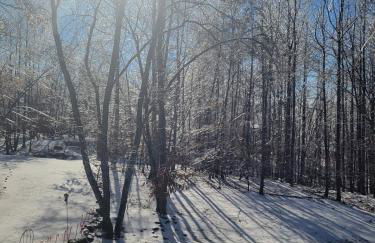 Luxury Loft Cabin 5 miles to TIEC for the Equestrian Internationl Games - Foto 17