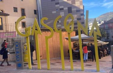 Gascona 26 - Pleno centro, Muy tranquilo, Parking gratis en mismo edificio, Ascensor, Wifi - Foto 42