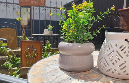 Moderne Ferienwohnung,Sauna im Haus, Parkplatz Hunde willkommen, nahe Schloss, Waldeisenbahn, Hermansbad, UNESCO Geopark, nahe polnischer Markt, Top Lage für Ausflugsziele zum Wandern oder Radfahren - Foto 28