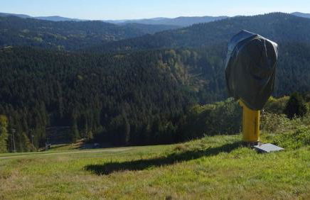 Wohnung Mitterdorf - Foto 27