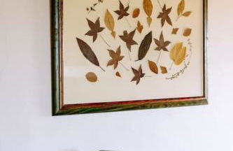 T65 home holidays in Umbria - Orvieto - Foto 9