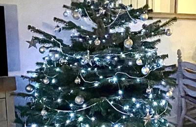 The Bay, Filey, Moonshine Cottage - Foto 48