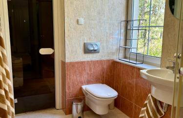 Villa Otolice obok Łowicza, 6 sypialni, balia, sauna, basen, snooker, 50 minut od Warszawy i Łodzi - Foto 11