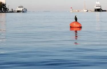 Apartment Nora - modern cozy apartment with FREE PARKING and TERRACE - Photo 50