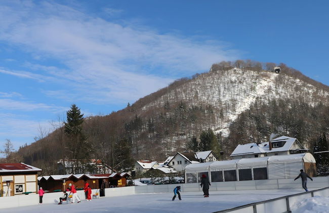 Cosy Apartment in Bad Harzburg With Garden - Foto 25