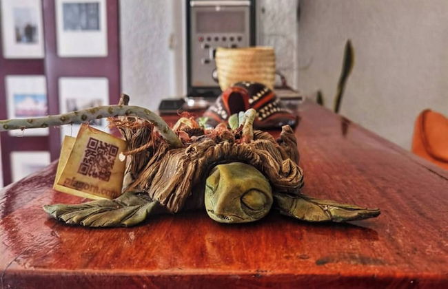 Room in House - Una Joya Para Dormir En Chapalita - Foto 11