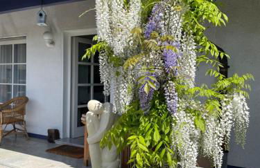 Gaensebluemchen 2 Apartment daisy 2 - Foto 8