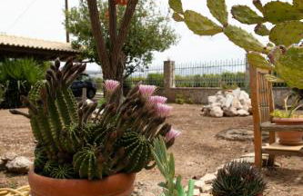 Orange Blossom Apartment - Foto 27