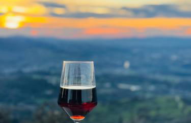 Streliciahouse - Foto 10