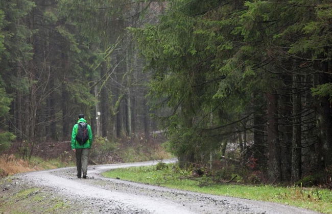 Ferienwohnung mit Kamin in Thale-friedrichsbrunn - Photo 33