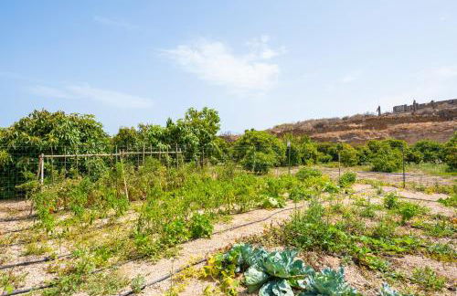 Private house with pool & garden - Foto 44