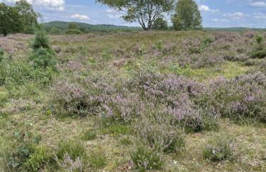Ferienwohnung Harms - Foto 17