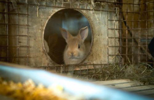 Agriturismo Terra e Cielo - Photo 37