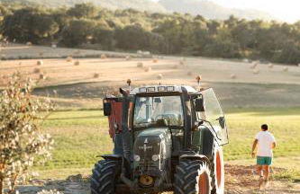 Domaine Paradis - Foto 51