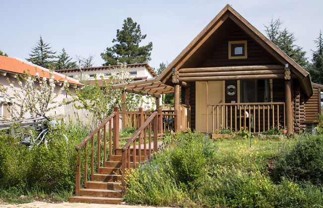 Dalia Barama - Photo 19