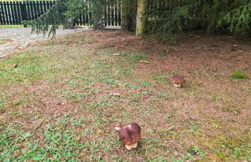 Awesome Home In Rybakowo With Wifi - Foto 34