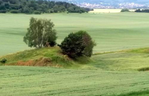 Cinema Comfort in Ballenstedt - Foto 31