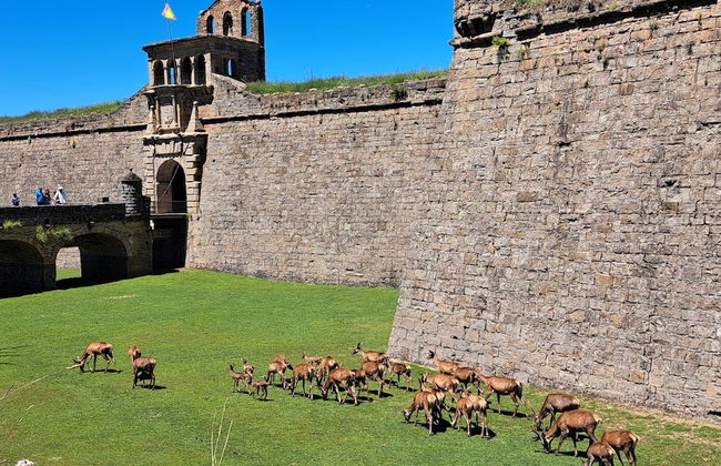 Charming Pyrenean House - Foto 35