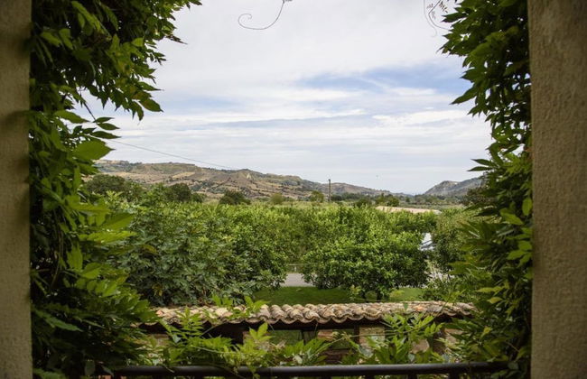 Agriturismo Modi - Foto 17