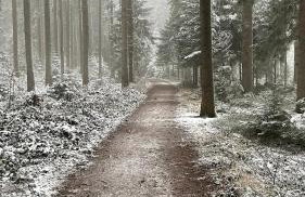 Ferienwohnung Paula - Foto 20