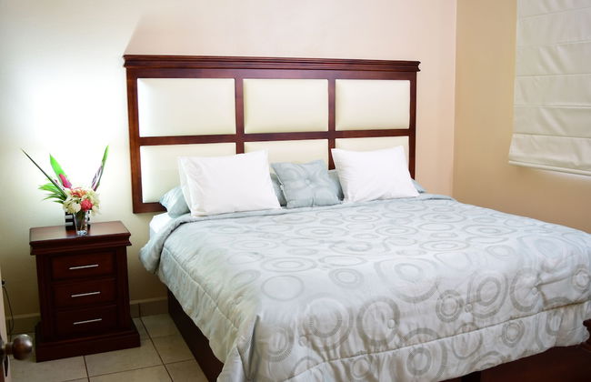 Hidden Palms Nosara - Photo 5