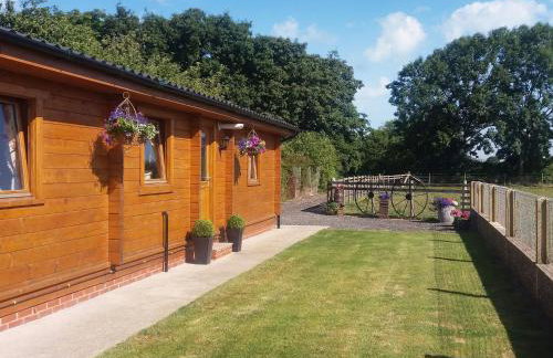 Chestnut Lodge - Foto 17