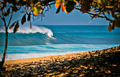 36Fl with Ocean View, Mins to Waikiki Beach, Parking - Foto 120