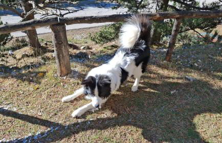 Bungalow en parc natural del Ter 2000 metres - Foto 13