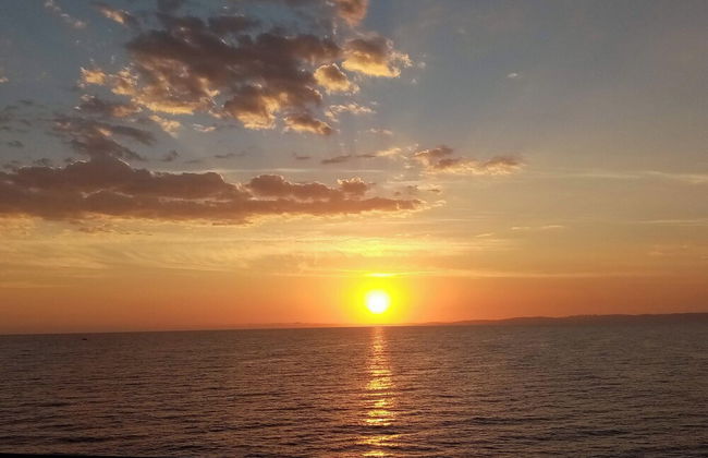 Sardinian Villa Enjoy Stintino With Your Pets ! - Photo 18