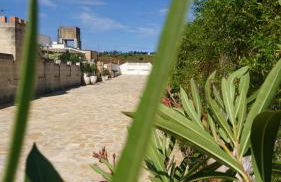 Stella Dei Campi - Foto 26