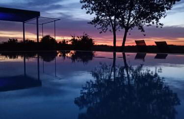 La Vita Nuova - Foto 7