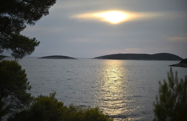 Apartments Oliva - Foto 17