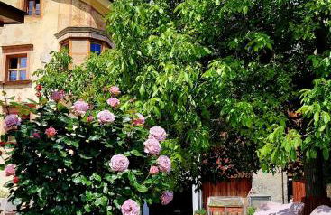 Großschlipfhof - Foto 24