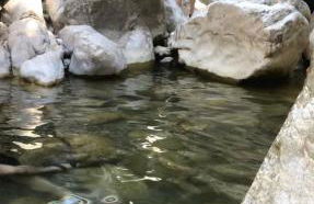 La Casa di Lea - Foto 16