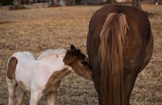 Casa tra i Trulli - Foto 47