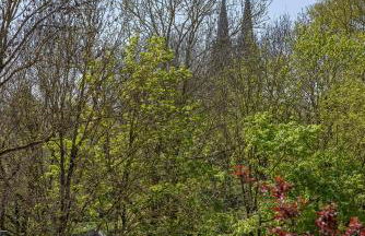 Altstadtnahes Domblickapartment - Foto 18