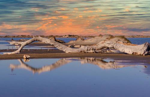 Le Cabanon de Virginie - Foto 19