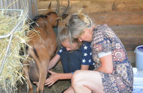 Baumhaus auf dem Kellerberg - Foto 17