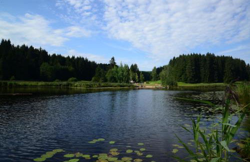 Hintere Schöne - Foto 34