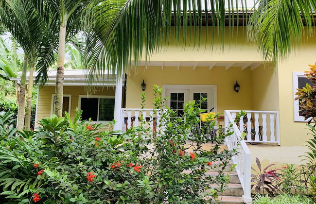 OSoleil Guesthouse - Foto 34