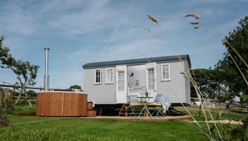 Shepherds Hut at Chenhall Farm - Foto 1, Garden