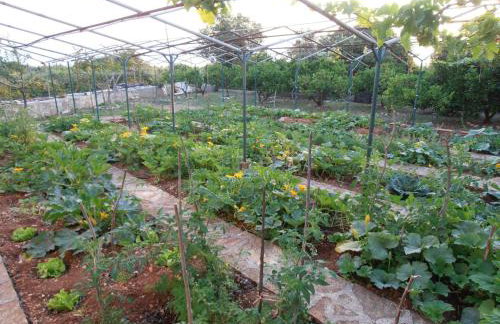 Jenny`s House - Photo 32