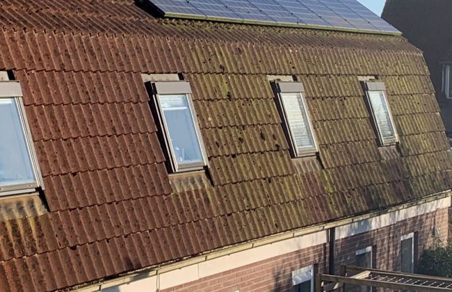 2 bedroom House in Elim with garden and terrace - Photo 17