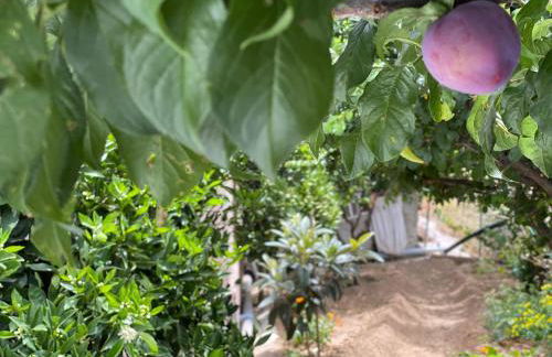 Juncalillo House - Foto 33