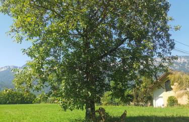 Studio Verthier - Foto 20