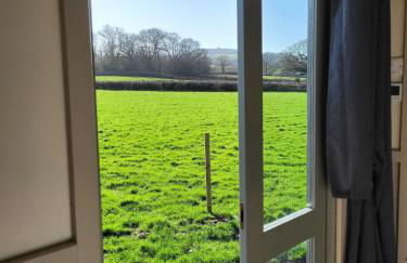 Sunrise Shepherd's Hut - Photo 9