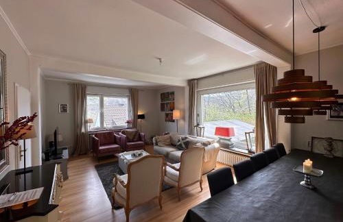 VILLA WALDHAUS WILLINGEN SAUERLAND - Charming Villa near Forest for 12 Guests with Huge Garden - Nearby Winter Sports Area with Ski Slope - Hiking and Nature - Foto 14